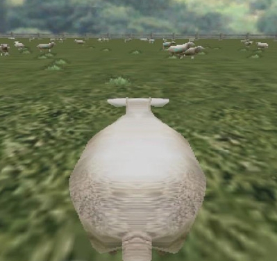 Crazy Cattle 3D